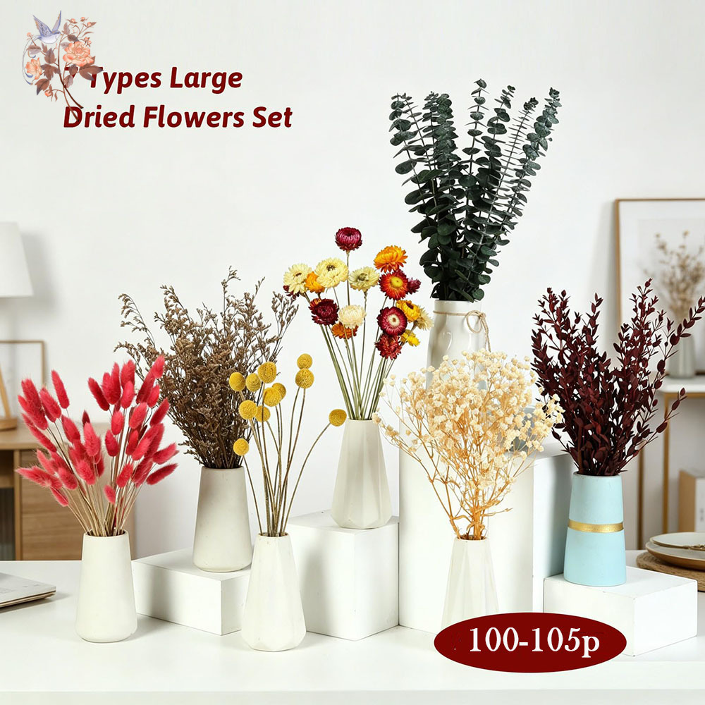 ドライフラワーの詰め合わせセット。7種類の天然ユーカリの葉を - Florist Supply Bulk のレビューと価格
