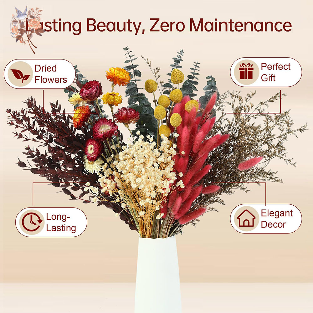 ドライフラワーの詰め合わせセット。7種類の天然ユーカリの葉を - Florist Supply Bulk のレビューと価格