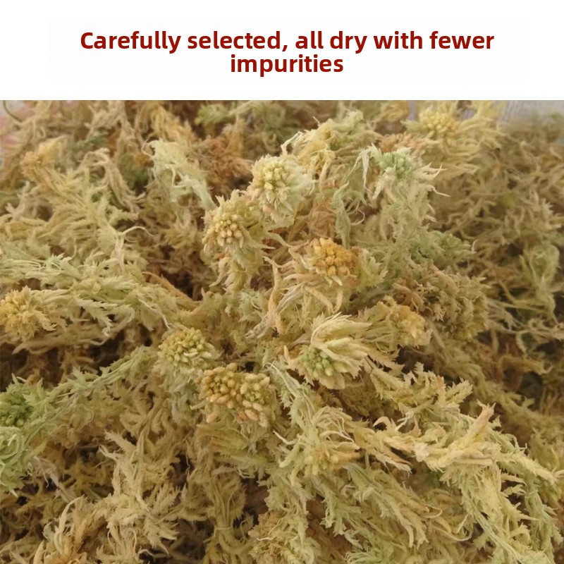 グレードA乾燥ミズゴケ、胡蝶蘭などの天然鉢植え用土、カメの冬 - Preserved Moss Sheet のレビューと価格