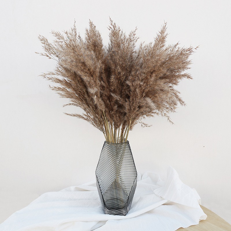 10個入り カラフルな天然葦 パンパスグラス ドライフラワー - Florist Supply Vases のレビューと価格